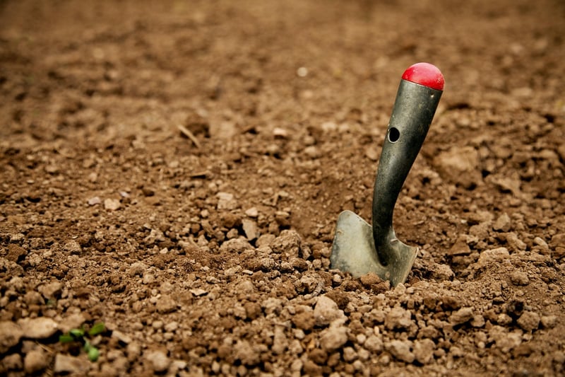 Shovel
